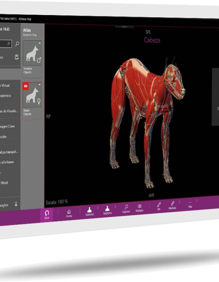 Athena-Hub-Veterinary-Atlas