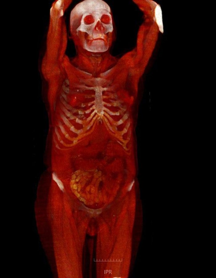 photo_2020-04-01_06-42-58